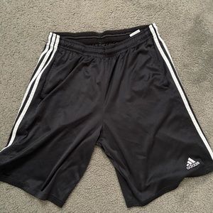 Adidas Workout Shorts